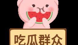 吃瓜群众娱乐素材下载,揭秘娱乐圈幕后趣闻